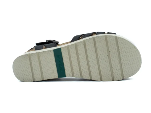JOSEF SEIBEL Clea 14
