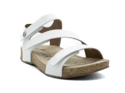 JOSEF SEIBEL Tonga 25