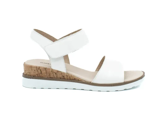 JOSEF SEIBEL Wyatt 01