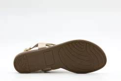 Taxi Rosa 01