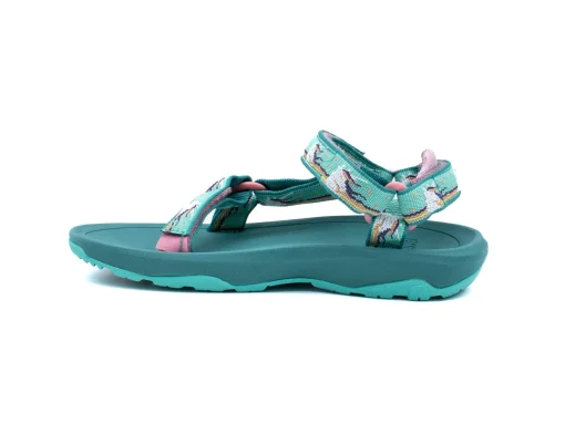 TEVA Hurricane