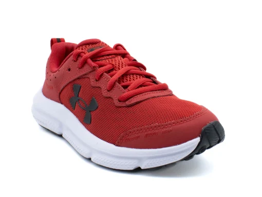 UNDER ARMOUR BIG KID ASSERT 10