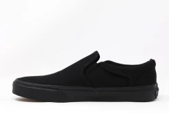 Vans Asher
