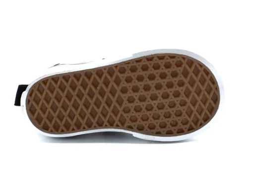 VANS Ward V