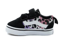 VANS Ward V